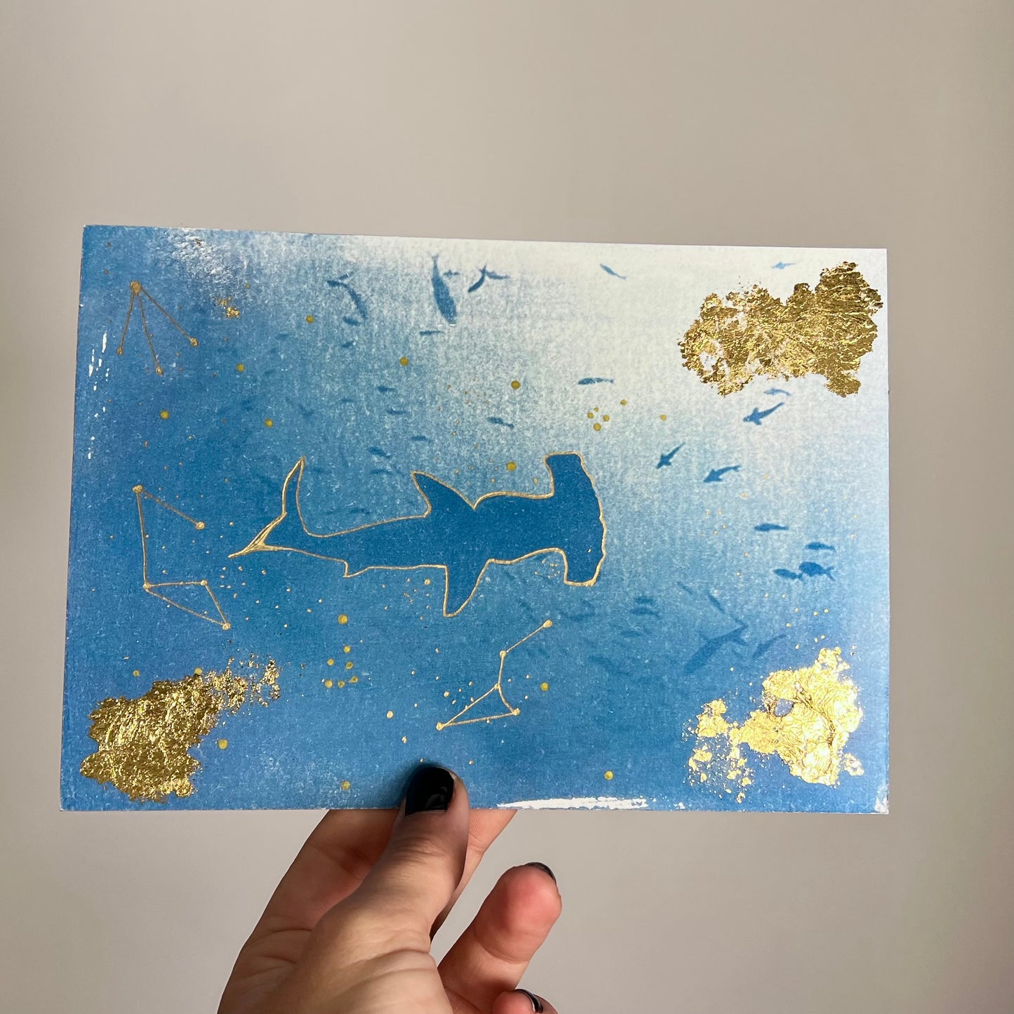 Tiburón Martillo 2/2