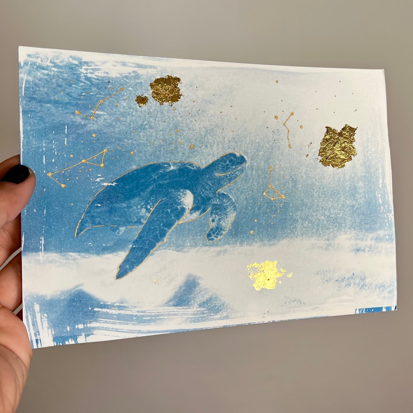 Tortuga 2