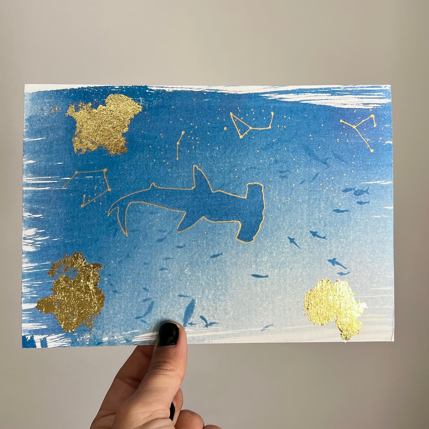 Tiburón Martillo 1/2