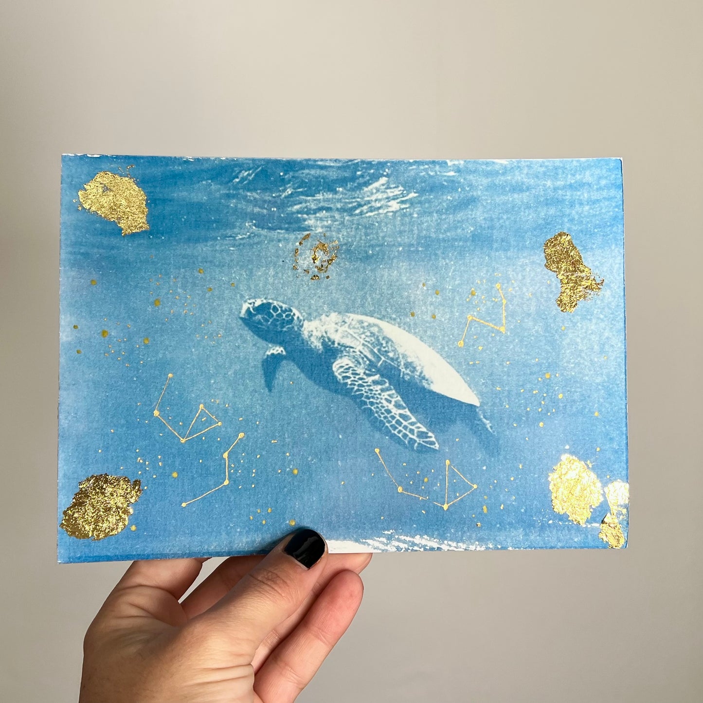 Tortuga 1