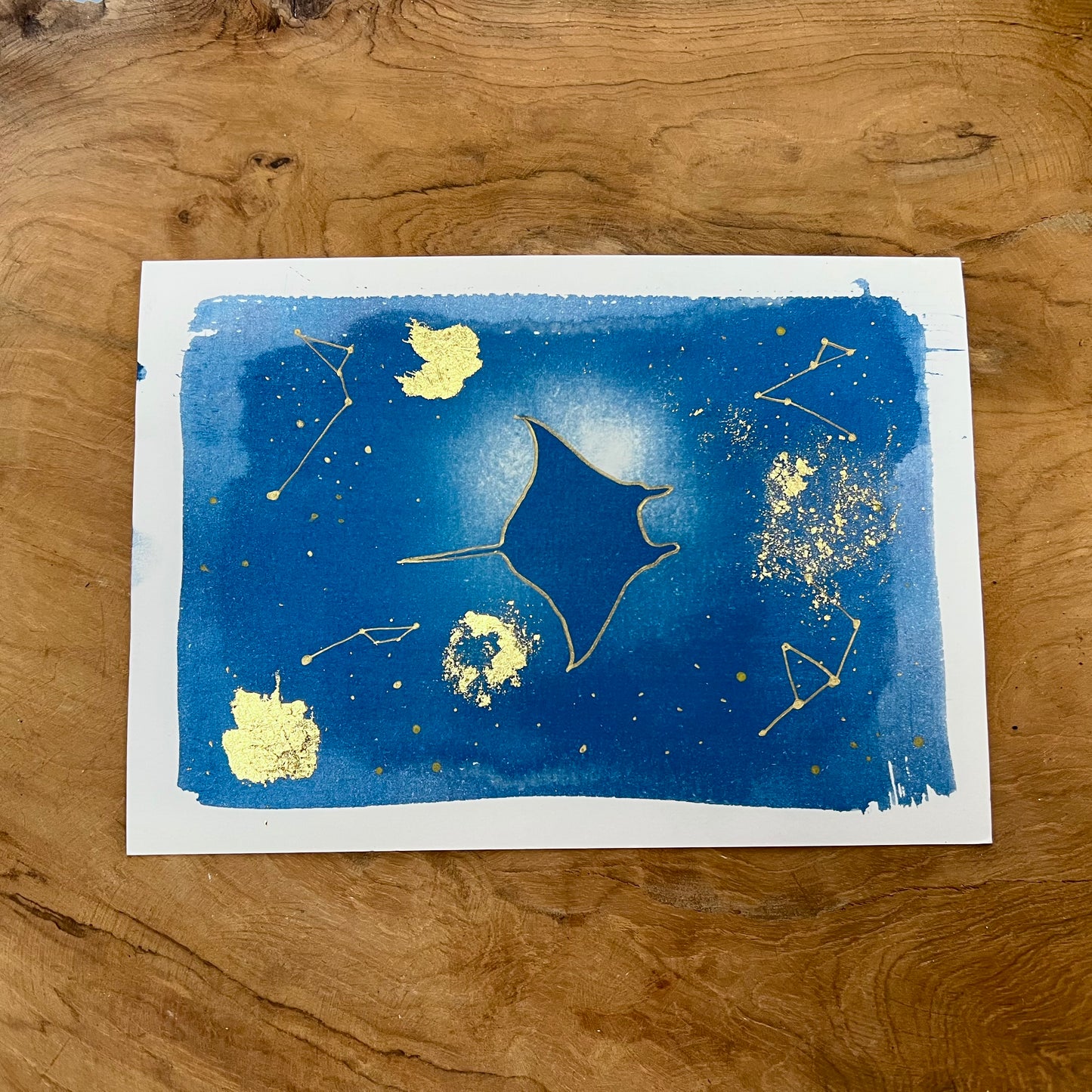 Manta Raya 1/2
