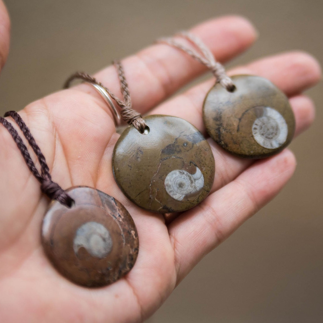 Collares de fósiles