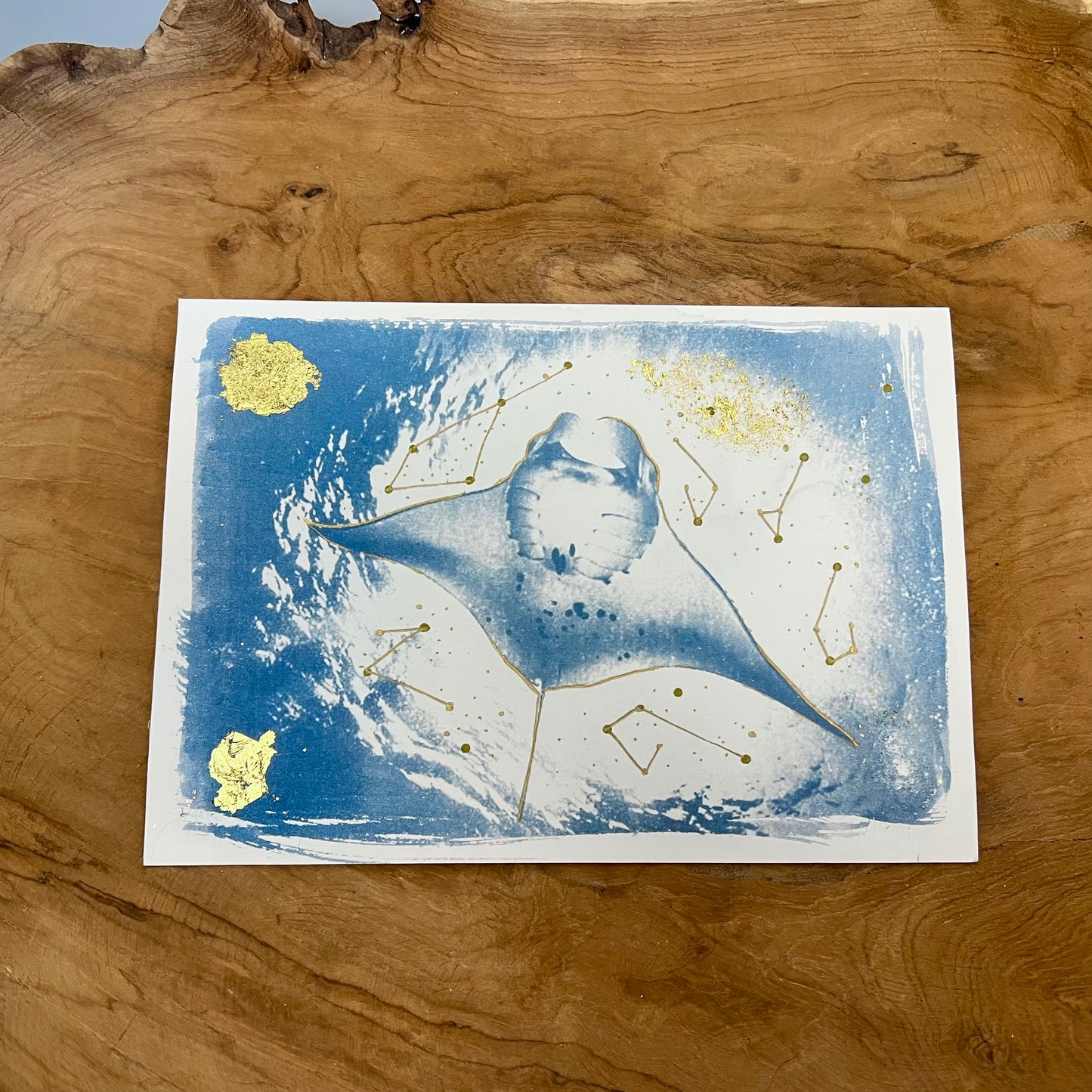 Manta Raya 3/3