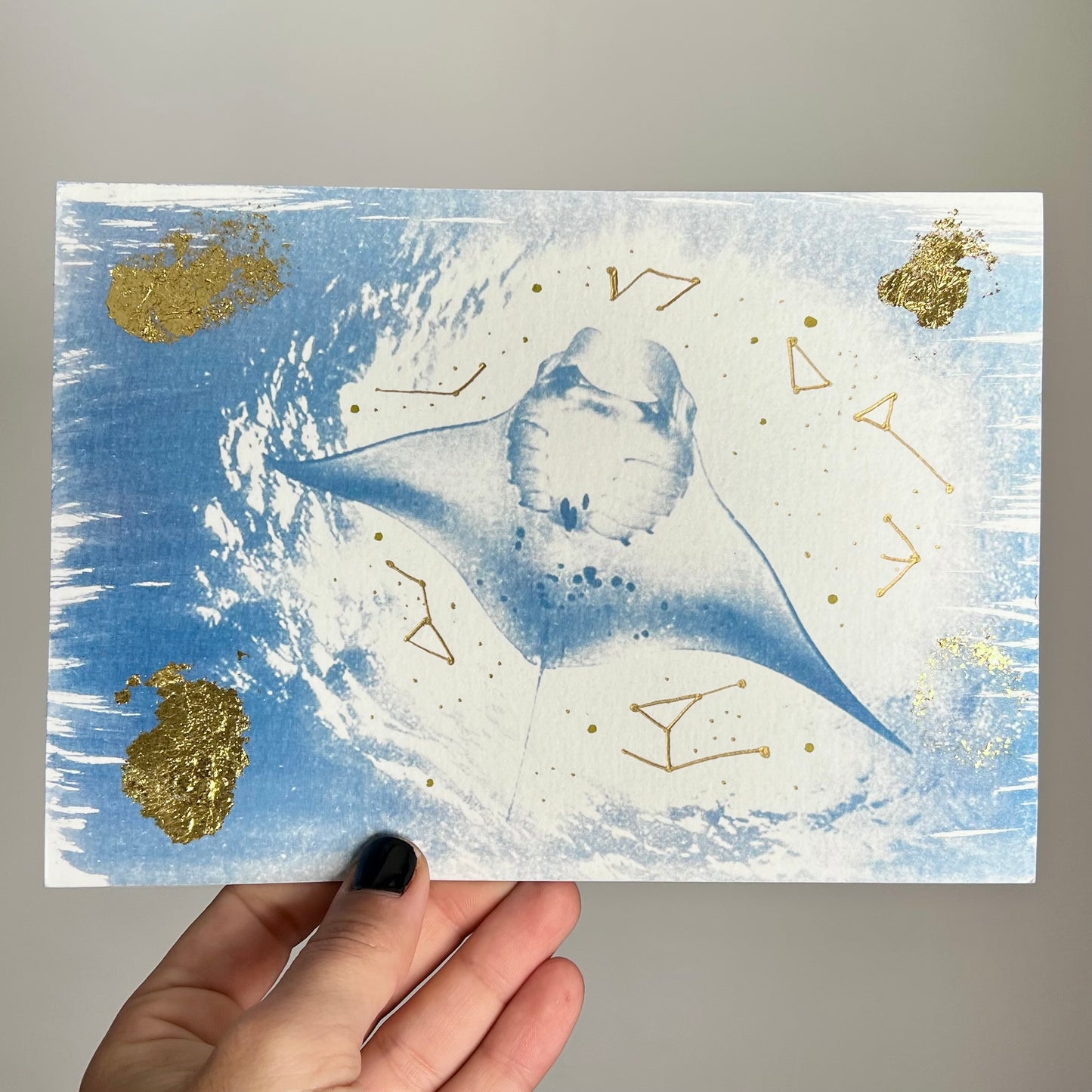 Manta Raya 1/3