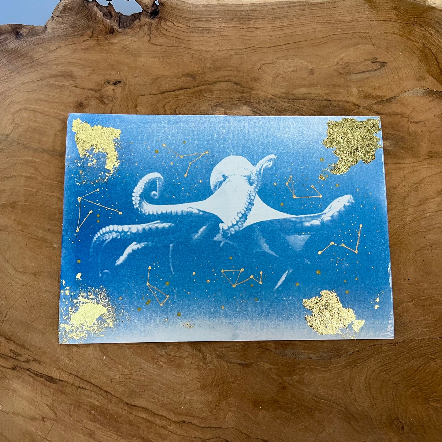 Pulpo 2/2