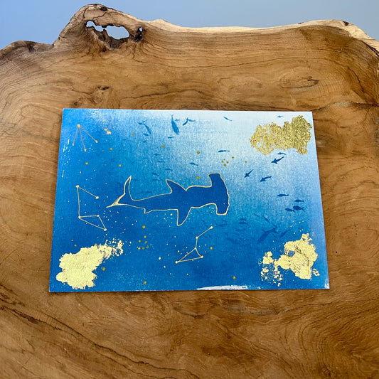 Tiburón Martillo 2/2