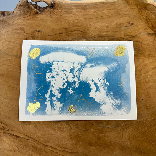 Medusas 2/2