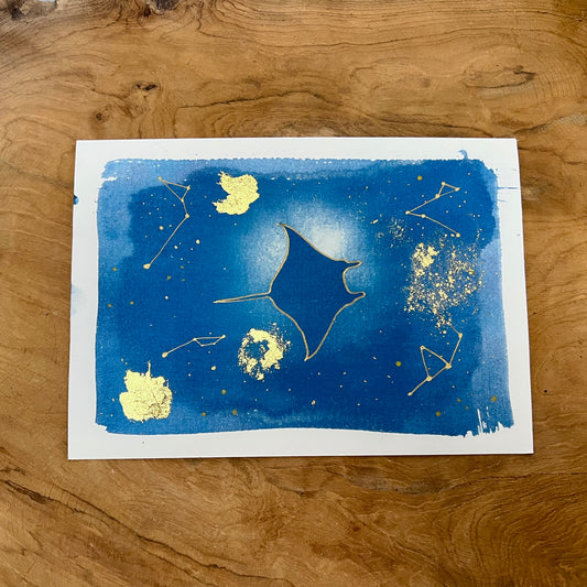 Manta Raya 1/2