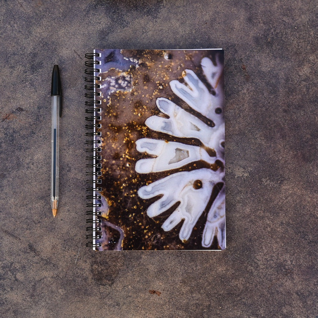 Libreta Fósil de coral