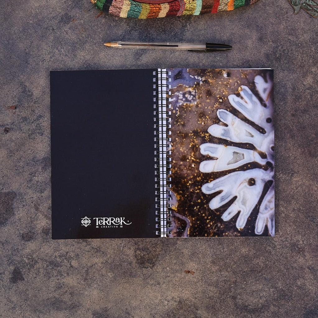 Libreta Fósil de coral