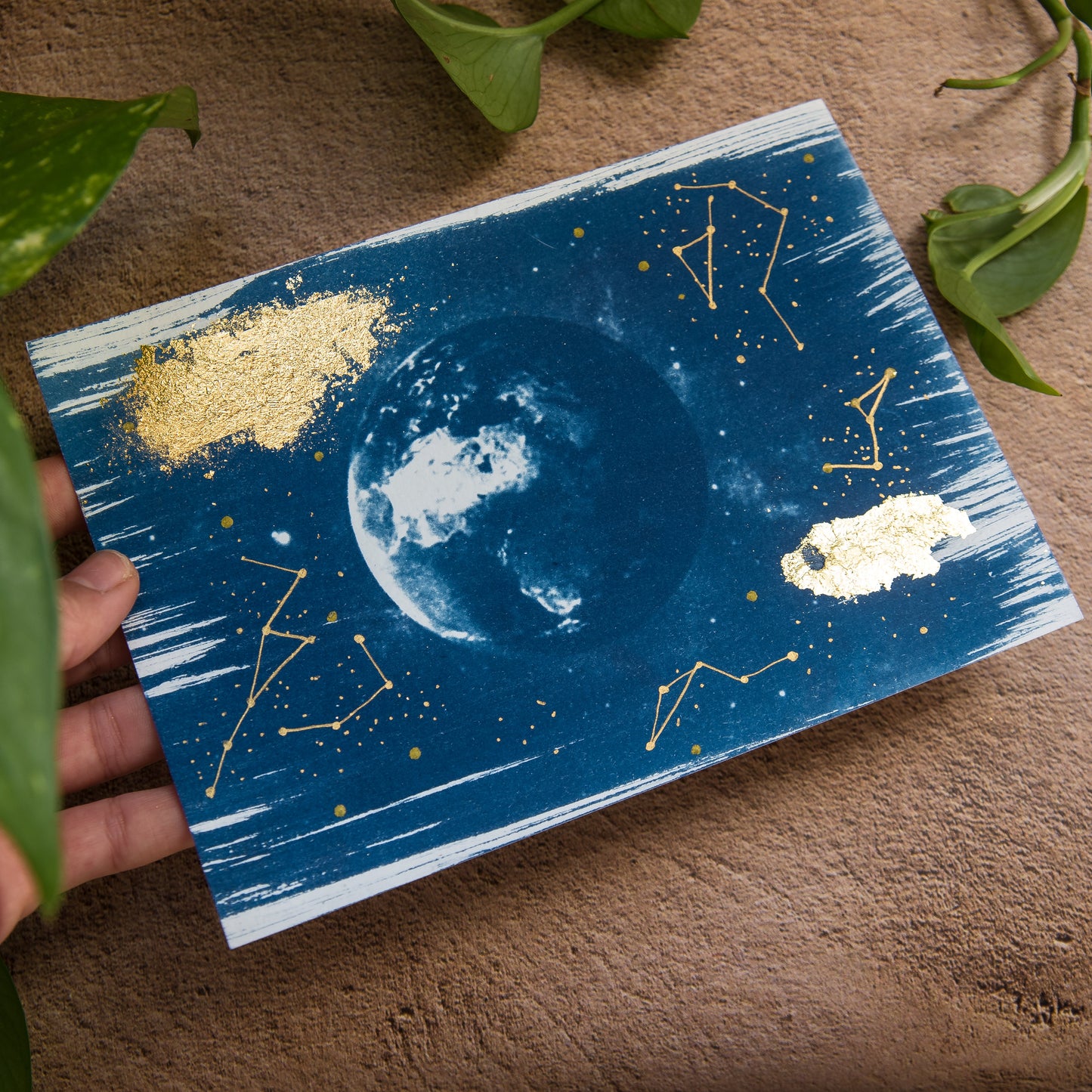 Planeta Tierra 1/1