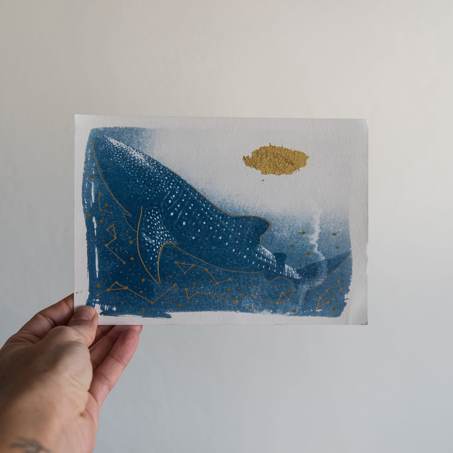 Whale shark 1/1