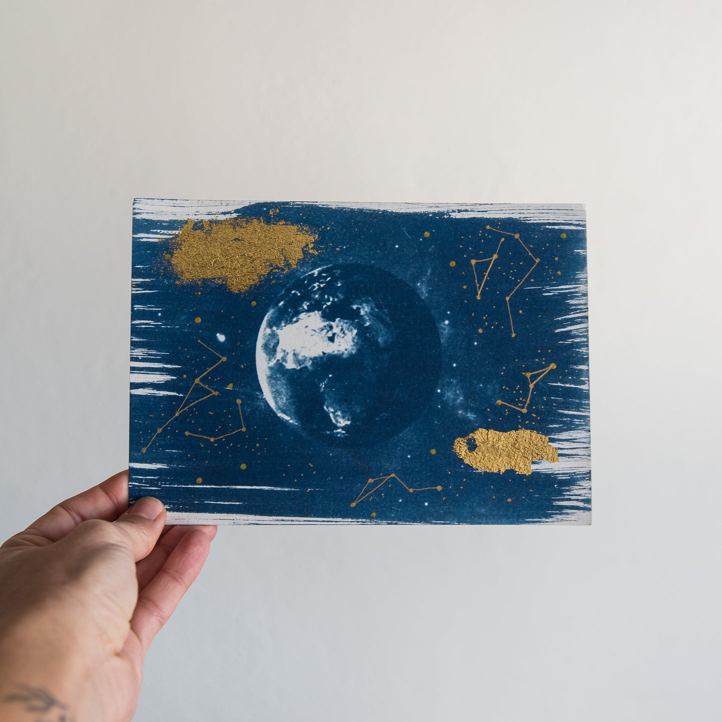 Planeta Tierra 1/1