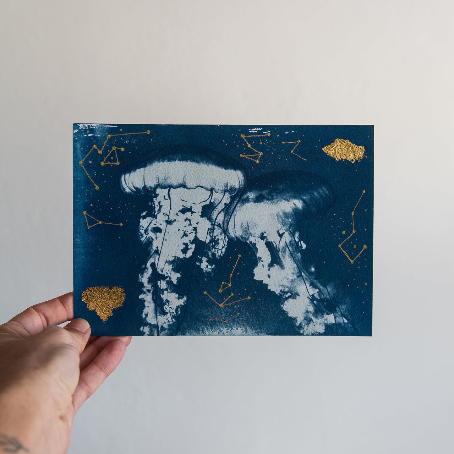 Jellyfish 1/2