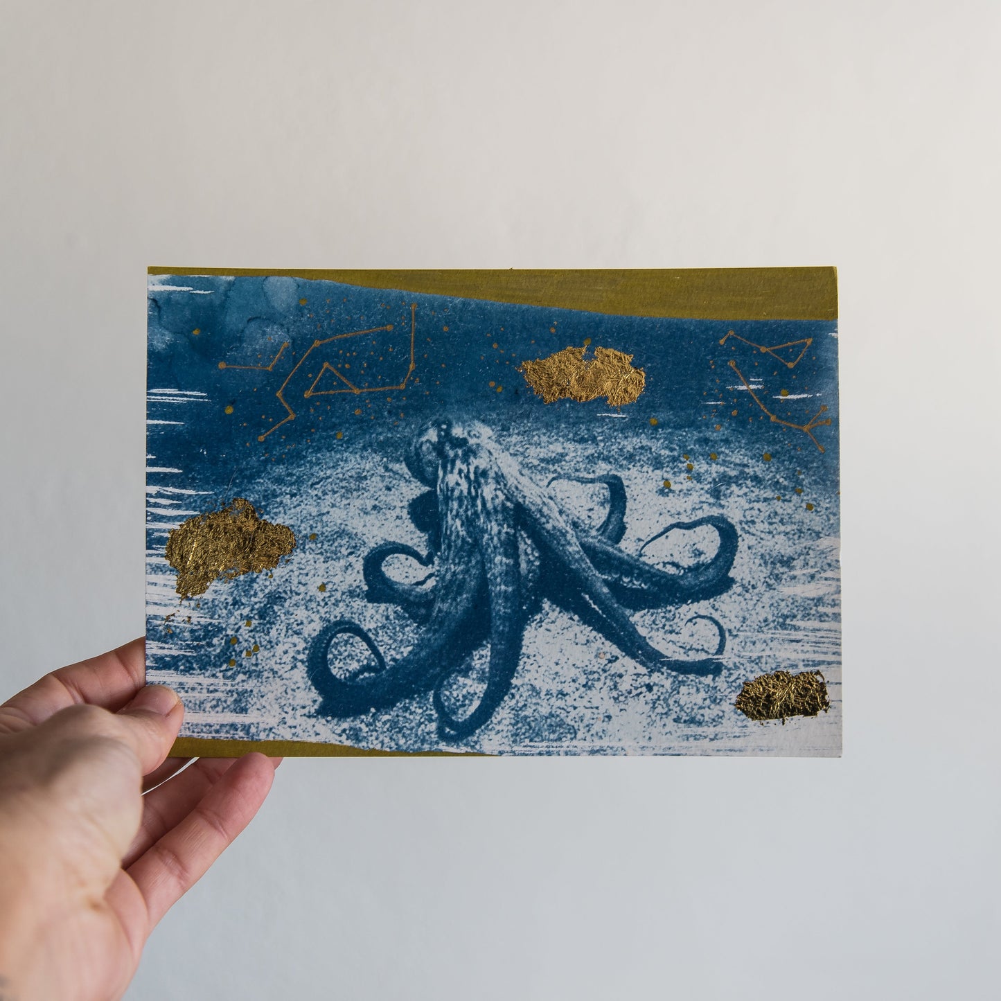 Octopus 1/2
