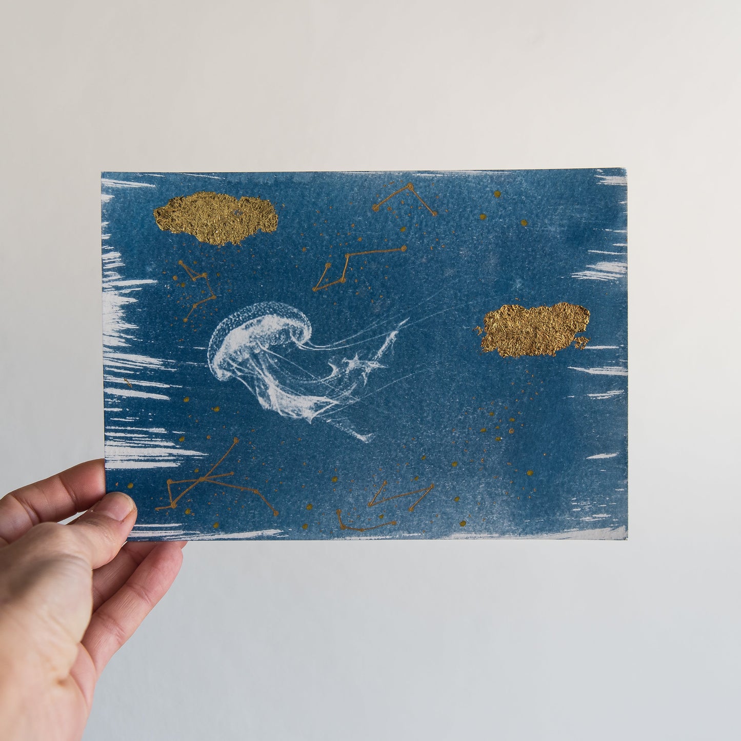 Jellyfish 2/3