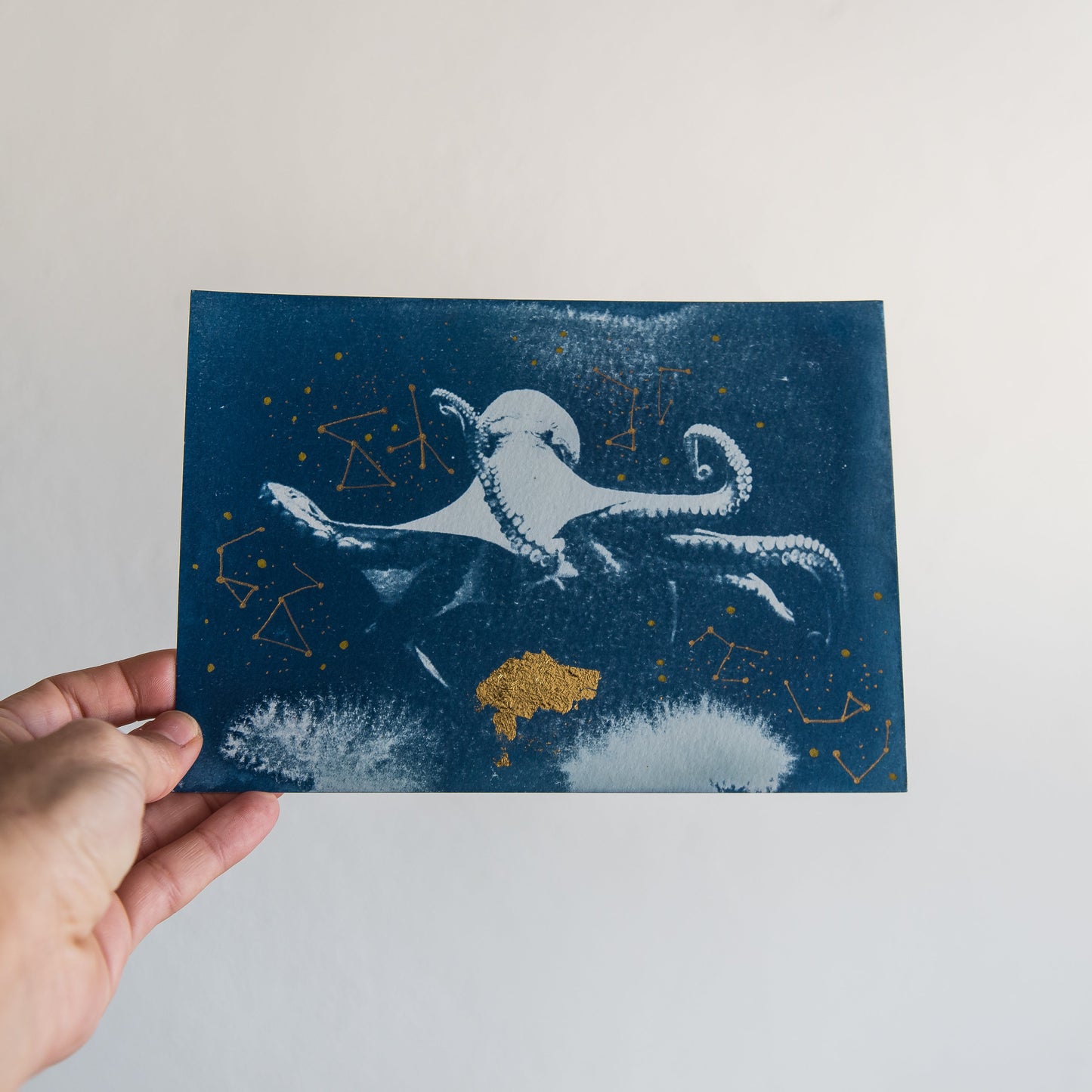 Pulpo 3/4