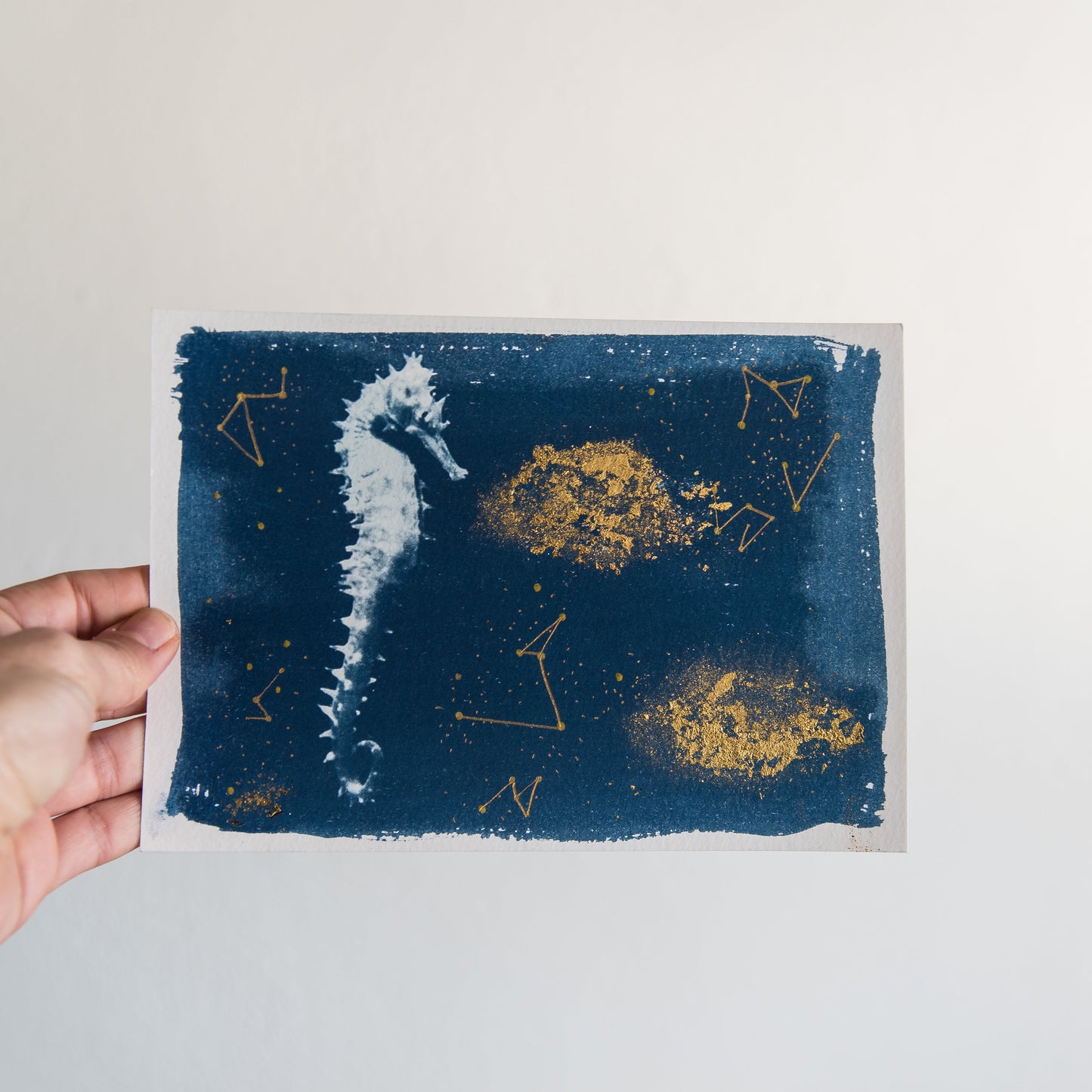 Seahorse 1/3
