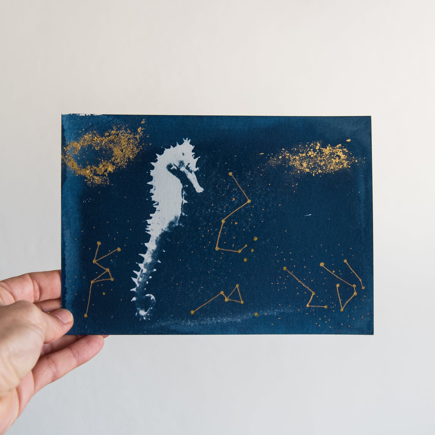Seahorse 2/3