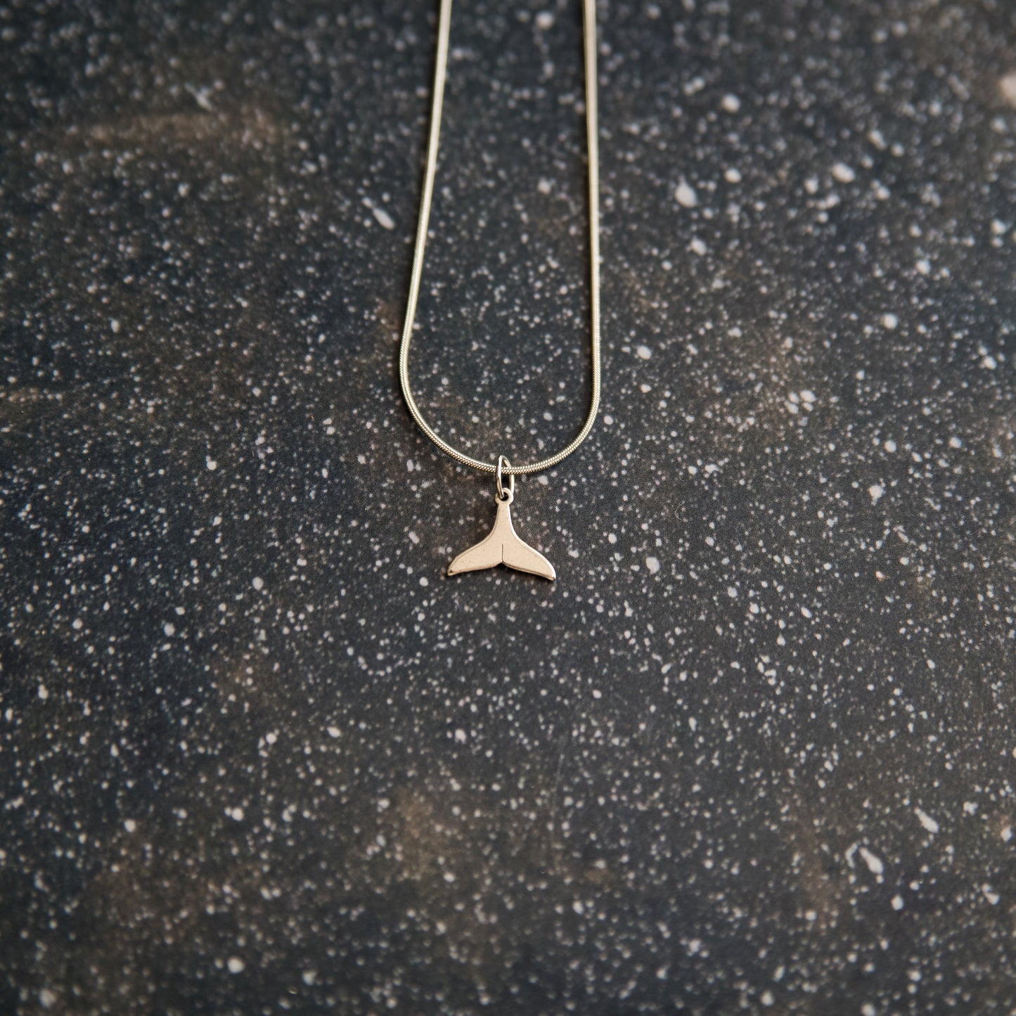 Collares de acero plateado