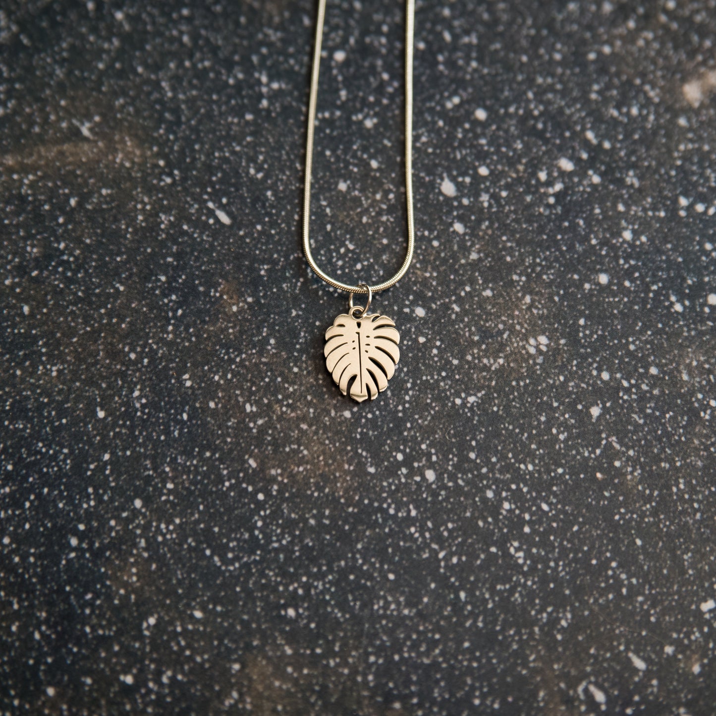 Collares de acero plateado