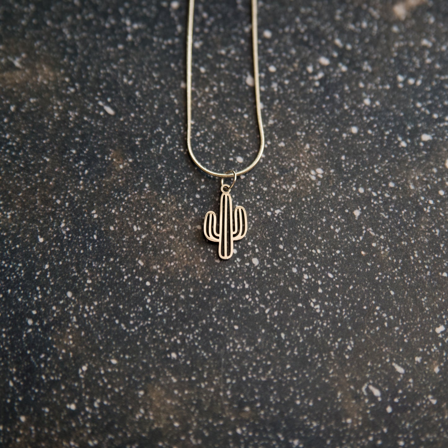 Collares de acero plateado