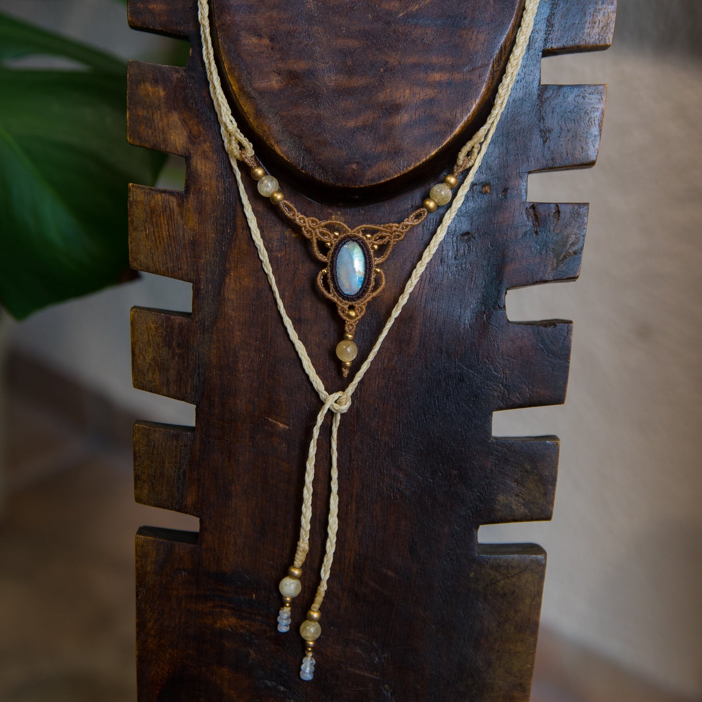 Colección Luna Vibrante