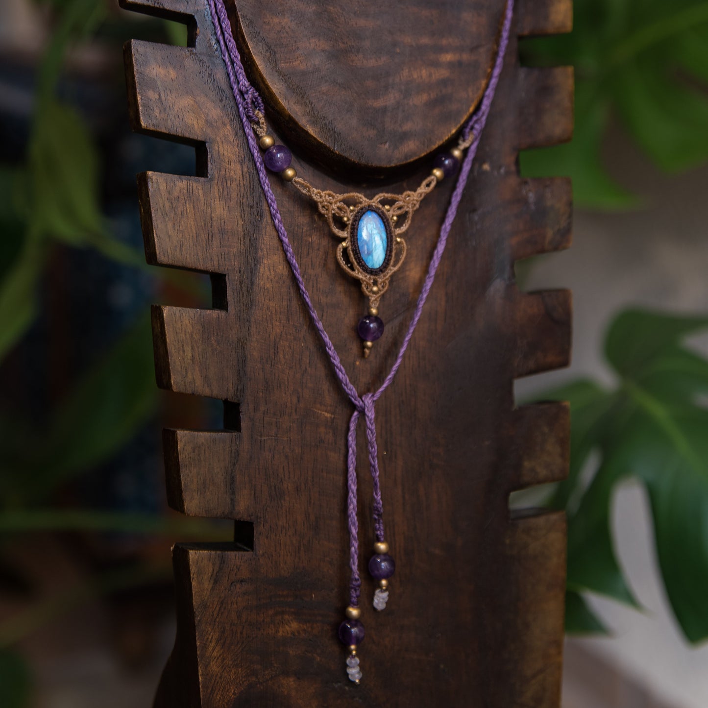 Colección Luna Vibrante