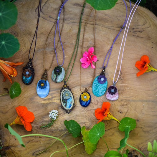 Colección Silvestre