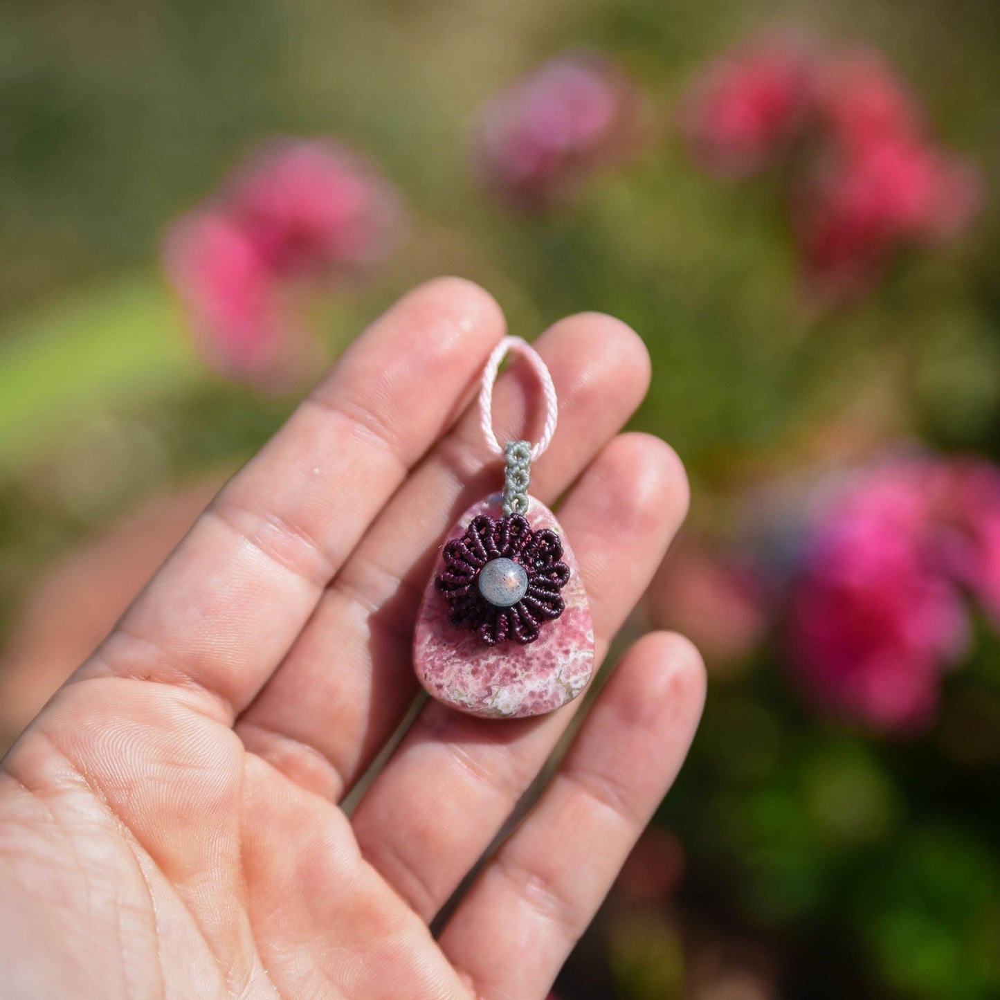 Colección Silvestre