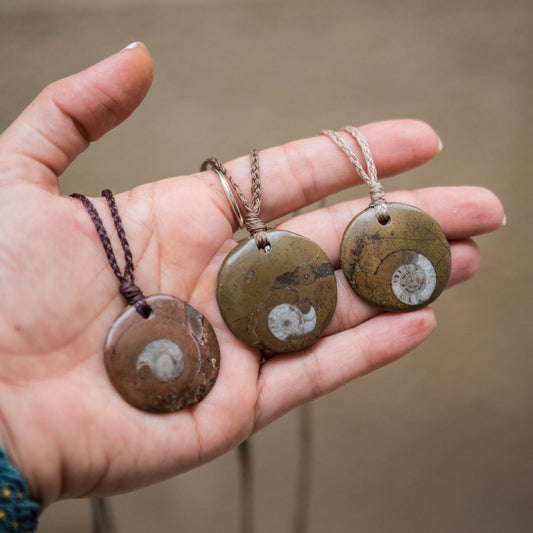 Collares de fósiles