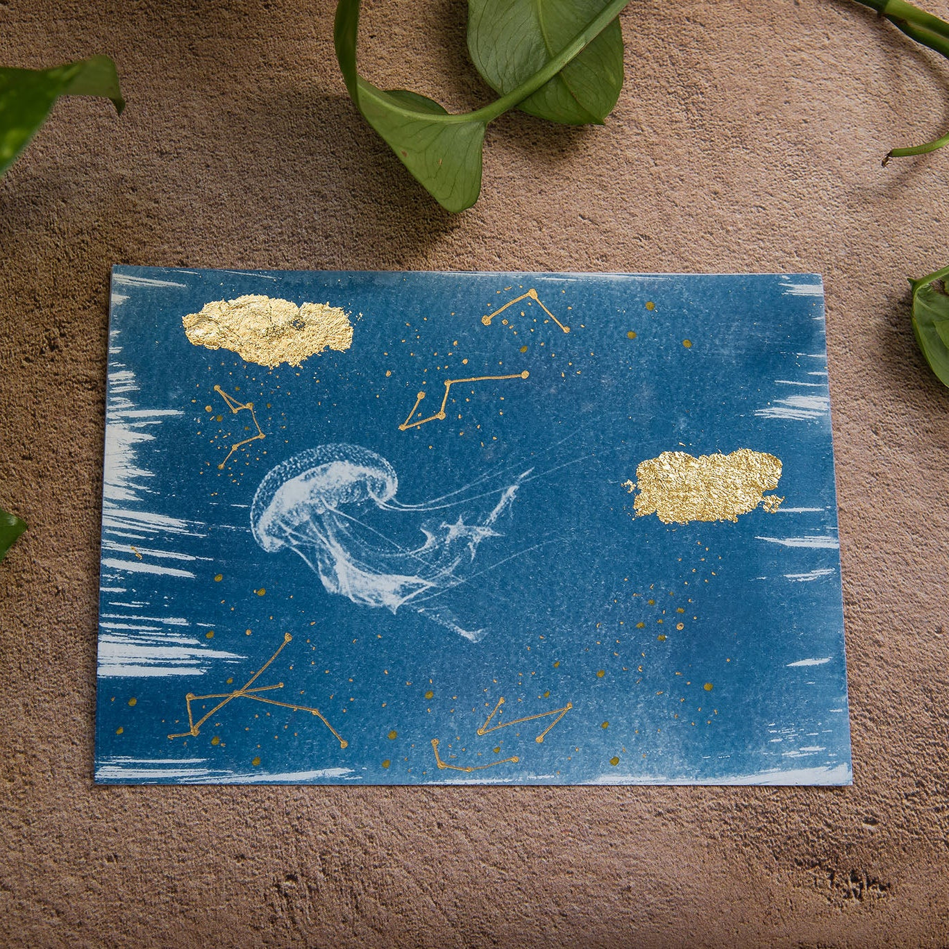 Jellyfish 2/3