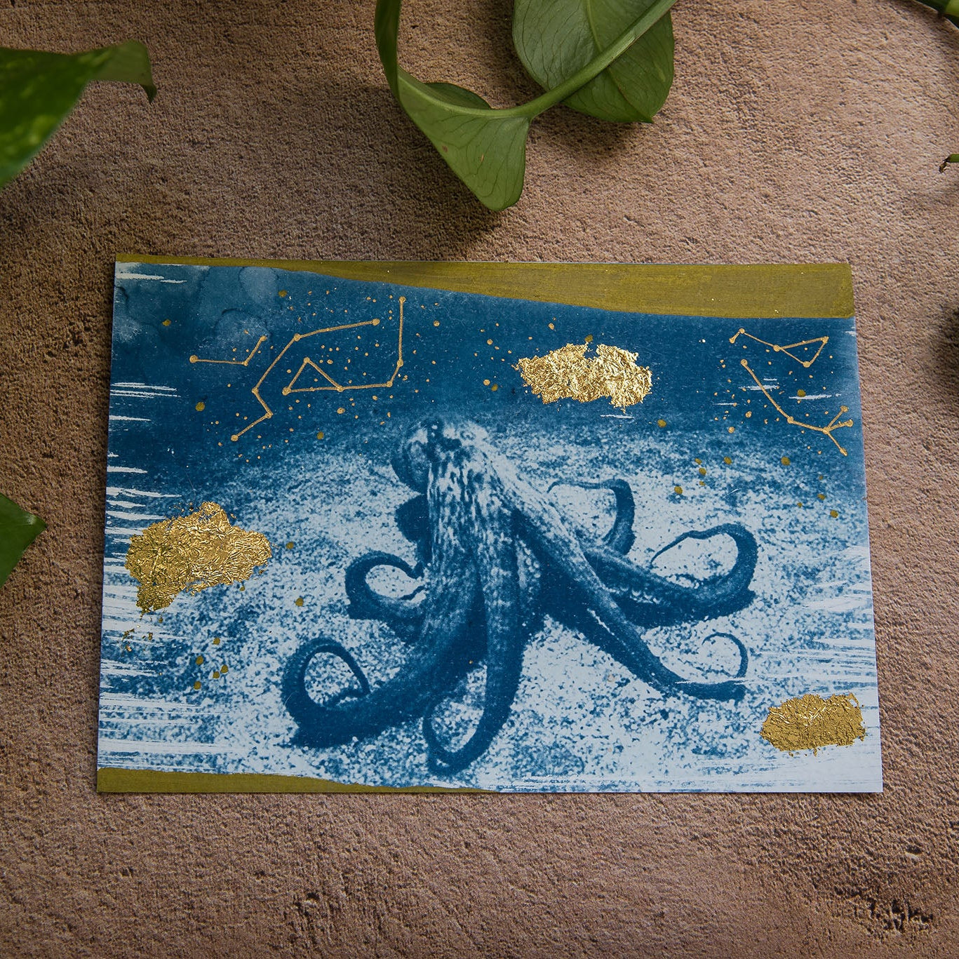 Octopus 1/2