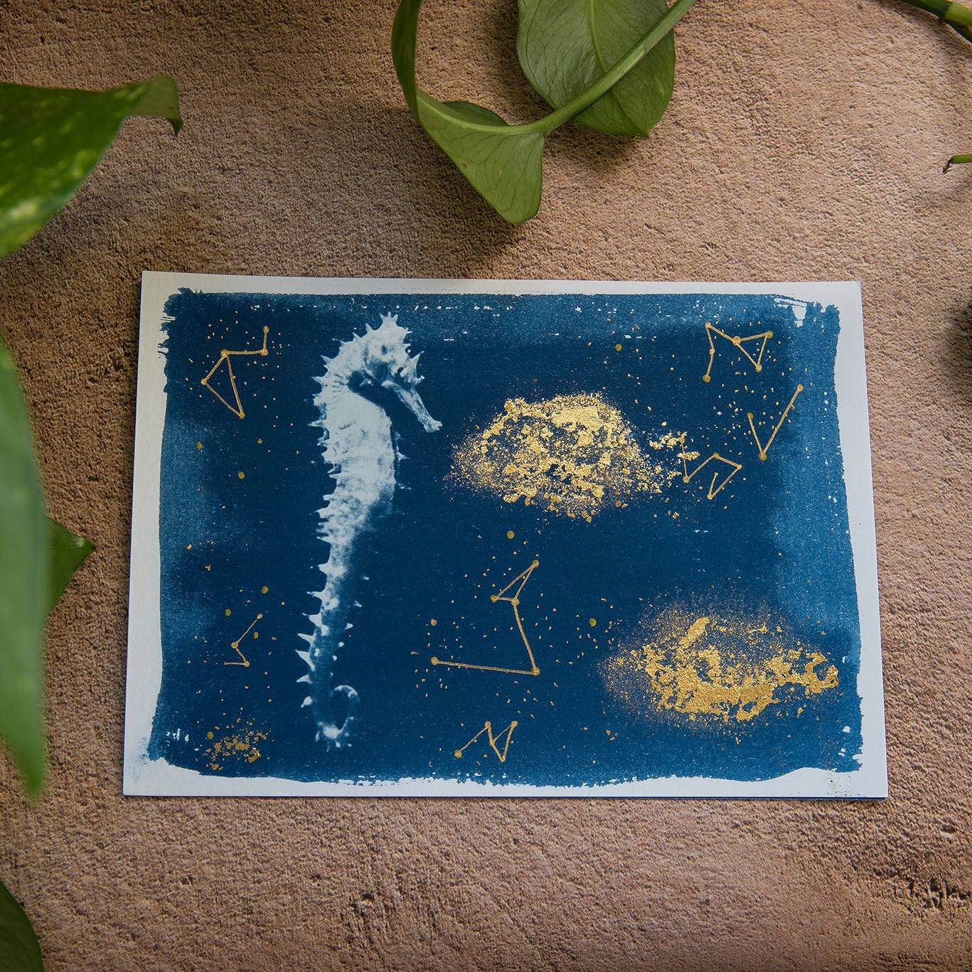 Seahorse 1/3