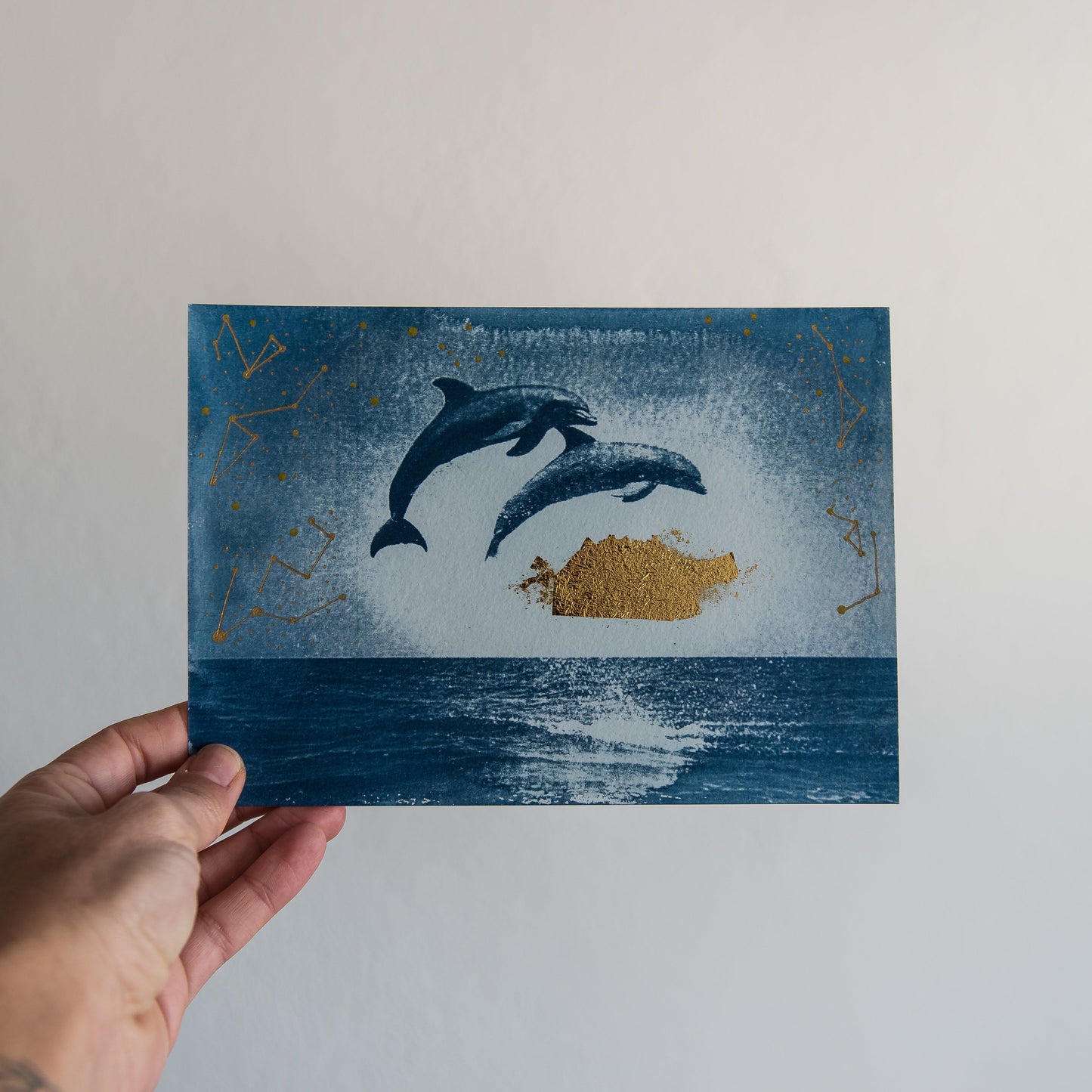 Delfines 1/3