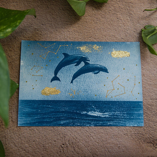 Delfines 2/2
