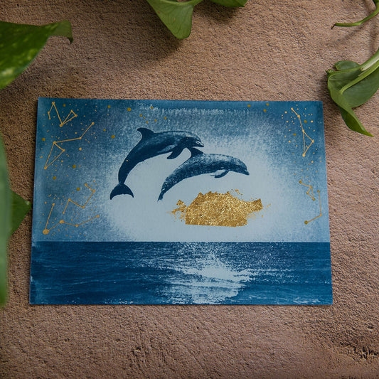 Delfines 1/3