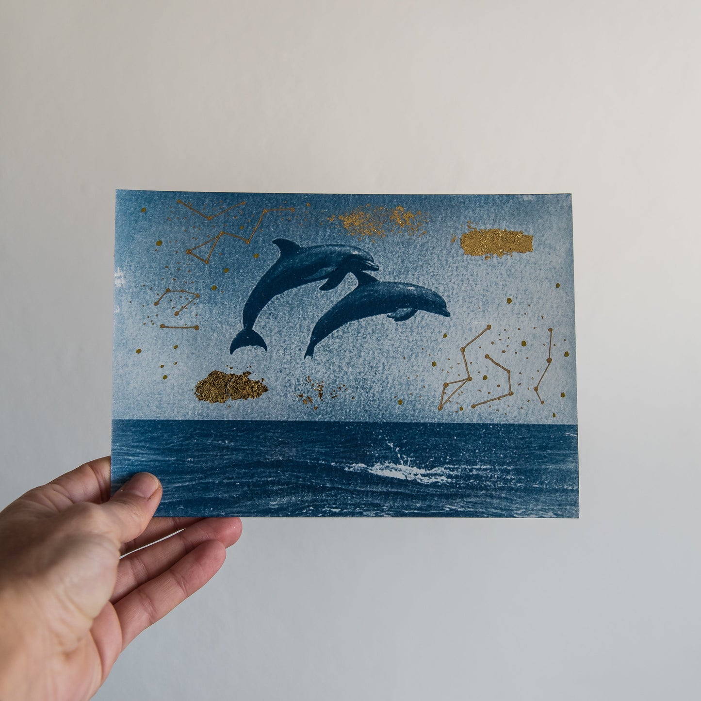 Delfines 2/2