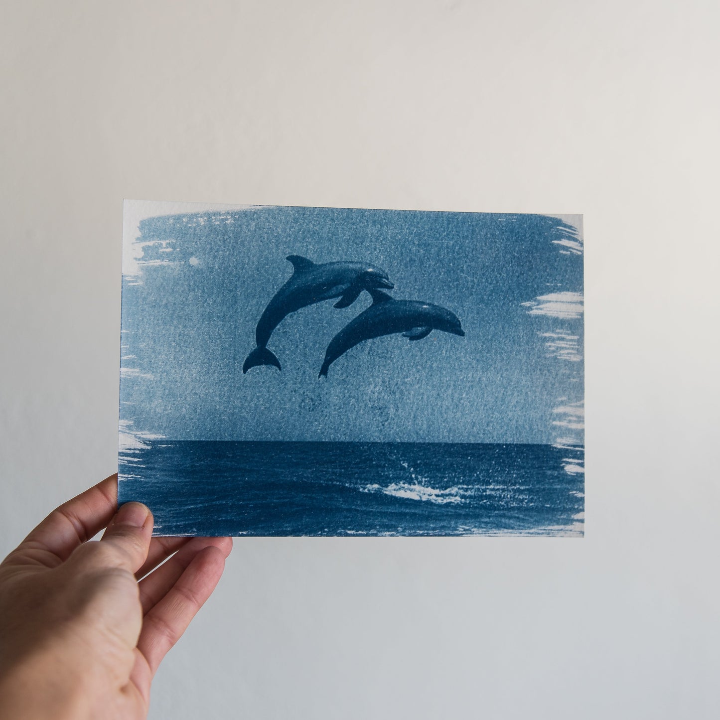 Delfines 3/3