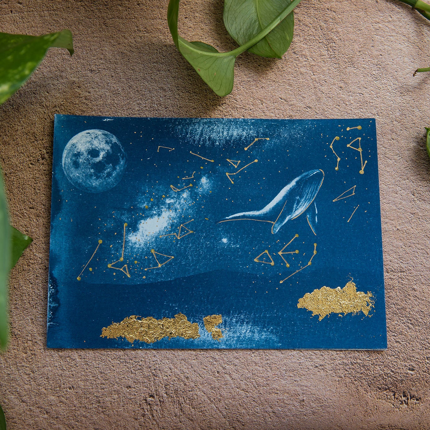 After the Moon 2/5