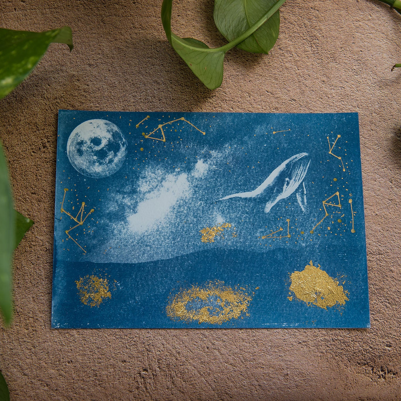 Después de la Luna 3/5