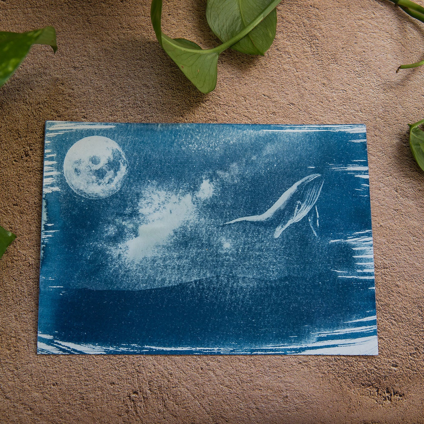 Después de la Luna 4/5