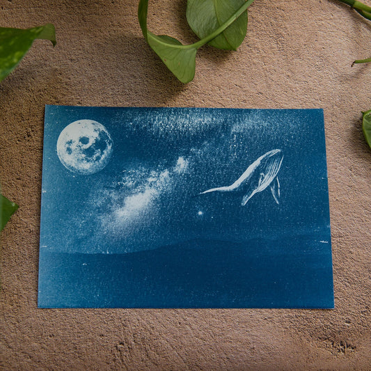 Después de la Luna 5/5