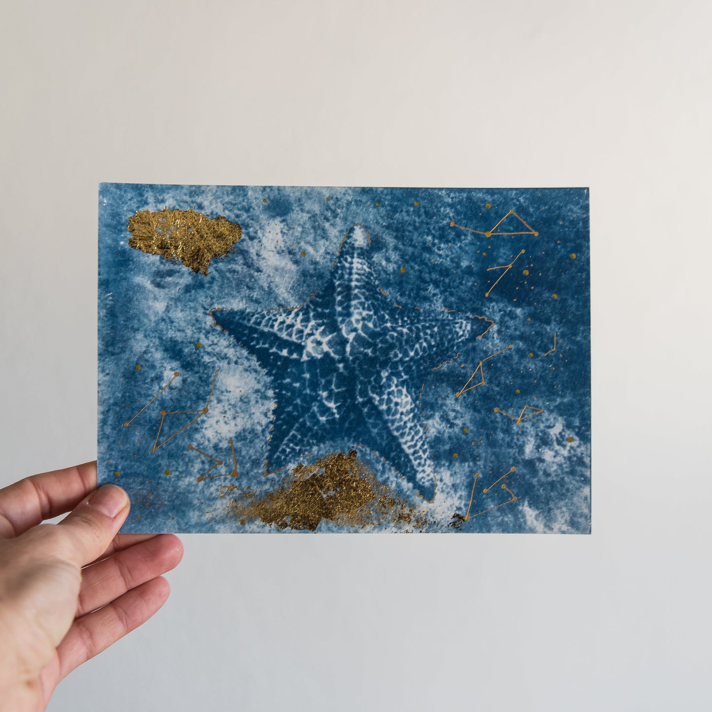Starfish 1/1