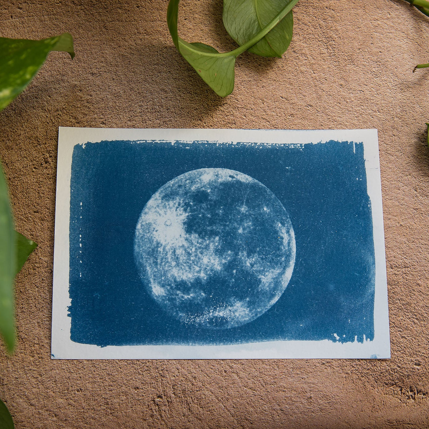 Luna llena 2/2