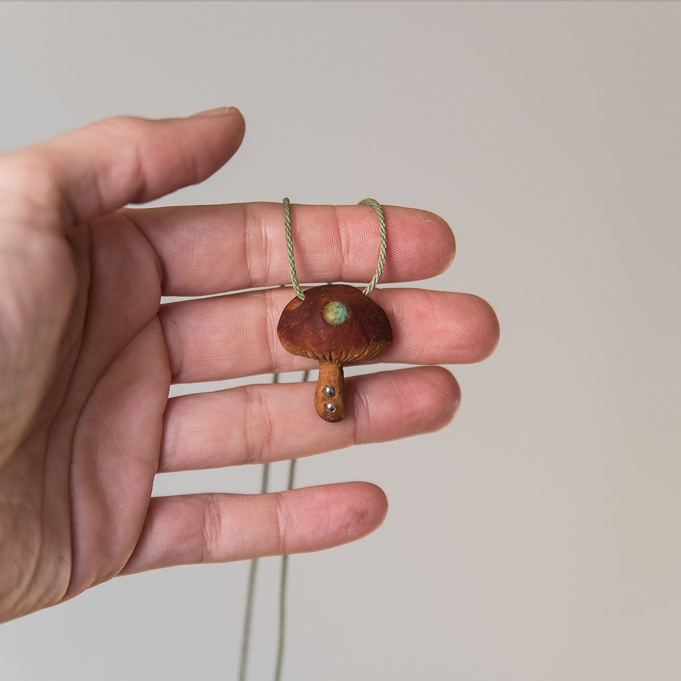 Mushrooms | Avocado seeds