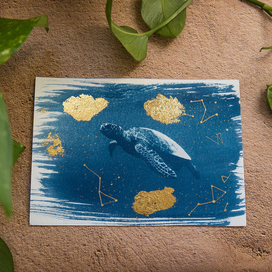 Tortuga 3/5