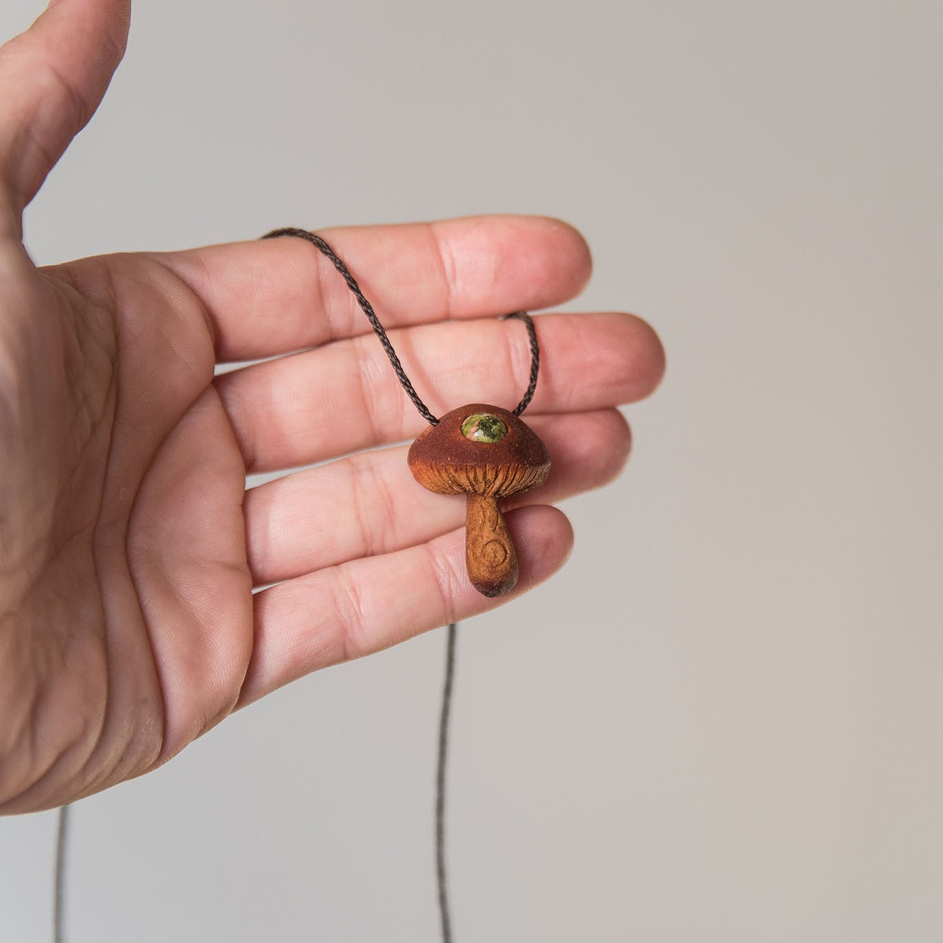 Mushrooms | Avocado seeds